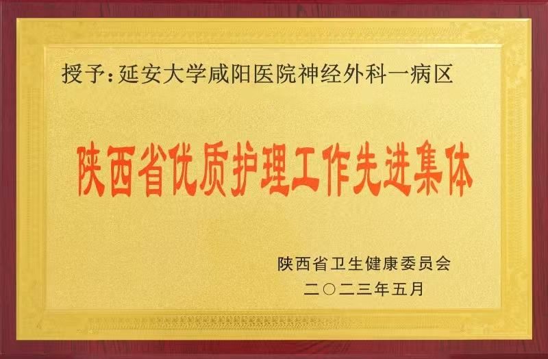 陜西省優(yōu)質(zhì)護理工作先進集體